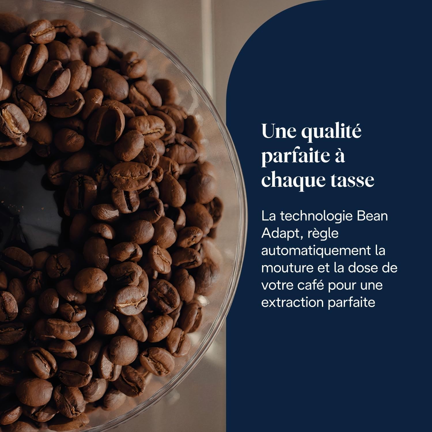 La Specialista Touch – Machine à Expresso avec Broyeur, Fonction Cold Brew, Contrôle Tactile, Métal